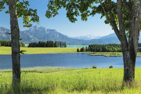 View Over Forggensee Lake To Tannheimer Alps Fussen Allgau Schwaben