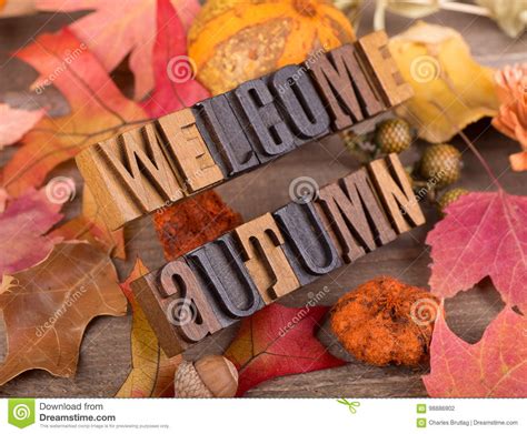 Welcome Autumn Text Stock Photo Image Of Wood Wooden 98886902