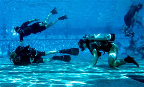 Navy Seal Training Basic Underwater Demolitionseal Buds