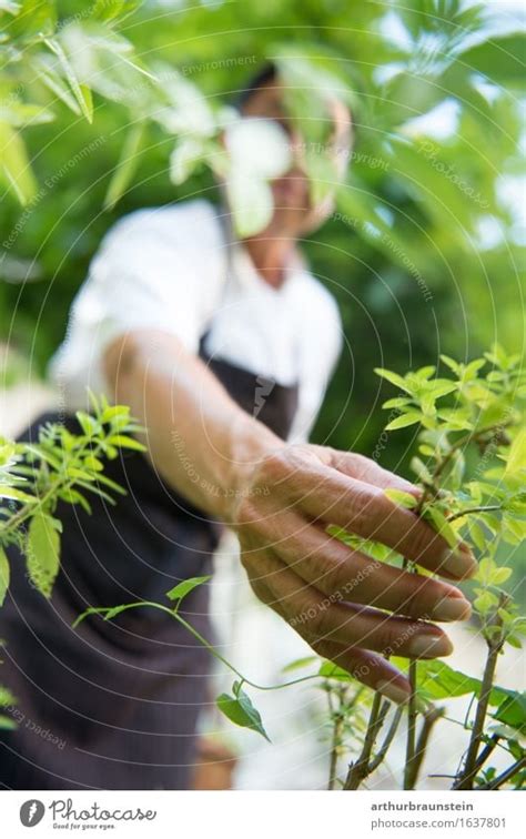 Human Being Nature Man A Royalty Free Stock Photo From Photocase