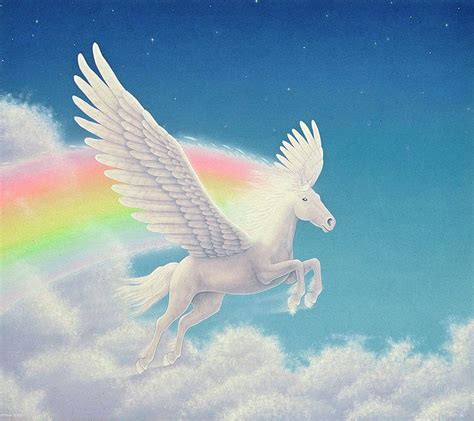 Rainbow Pegasus Ubicaciondepersonascdmxgobmx