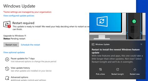How To Run Windows Update In Windows 11 Vrogue