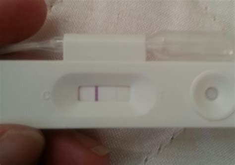 New Choice Ovulation Tests Pregnancy Test