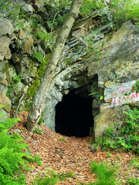 Hidden Cave In The Jungle Road Trip Places Scenery National Parks