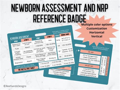 Newborn Assessment Nrp Quick Reference Badge Buddy Card Etsyde