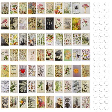 Buy Meetory 70 Pcs Vintage Wall Collage Kit Aesthetic Pictures With 160