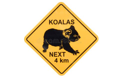 Australia Australian Koala Yellow Road Warning Sign Isolated On White