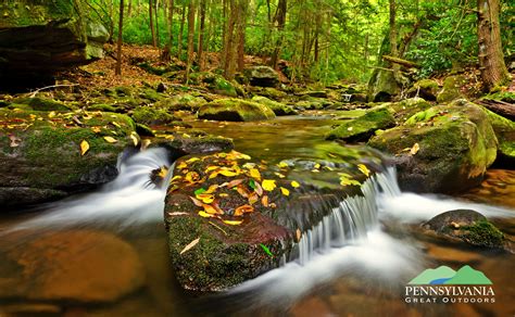 Quehanna Wild Area Is A Spectacular Part Of Pennsylvania Great Outdoors