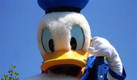 34 Fun Facts About Donald Duck Facts