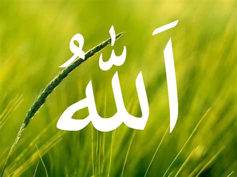 11+ kaligrafi arab yg indah background. Kaligrafi Arab Berwarna Lafadz Allah Swt - Gambar ...