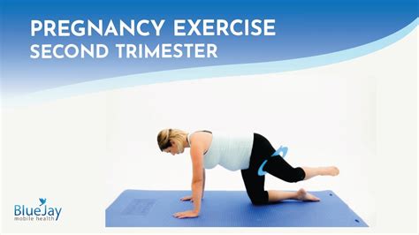 Quadruped Hip Circles Left Second Trimester Pregnancy Exercise YouTube