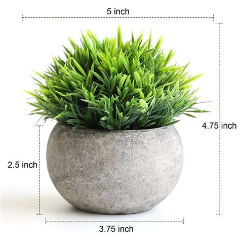 The Bloom Times 2 Pcs Fake Plants For Bathroomhome Office Decor Small