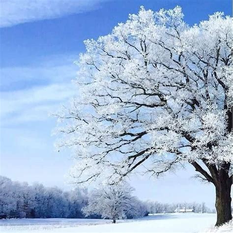「seasons Winter Let It Snow」おしゃれまとめの人気アイデア｜pinterest｜becky Cagwin 雪女