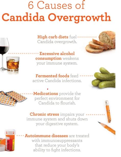 Candida Overgrowth Signs And Solution The Herb Doctor