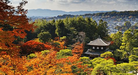 Japans Most Beautiful Gardens Tokyo Kyoto And Beyond