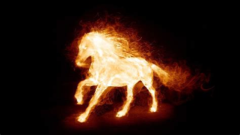 Fire Horse Wallpapers Top Free Fire Horse Backgrounds Wallpaperaccess