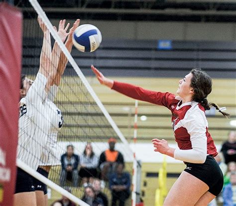 packer volleyball team swept by panthers austin daily herald austin daily herald