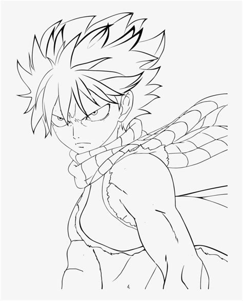 Fairy Tail Line Art Draw Anime Fairy Tail 816x979 Png Download Pngkit