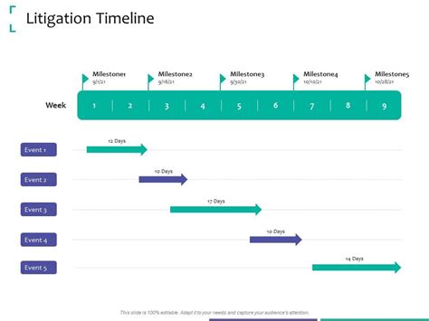 Litigation Timeline Strategic Due Diligence Ppt Powerpoint Presentation