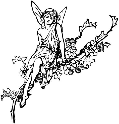 Fairy Line Drawing At Explore Collection Of Fairy