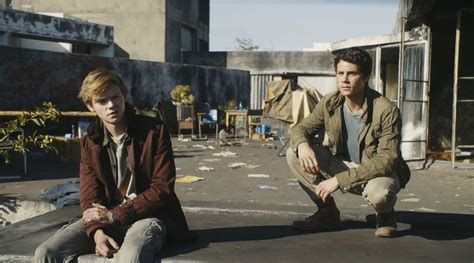 Seht den neuen trailer zu maze runner: Bild zu Thomas Brodie-Sangster - Maze Runner 3 - Die ...