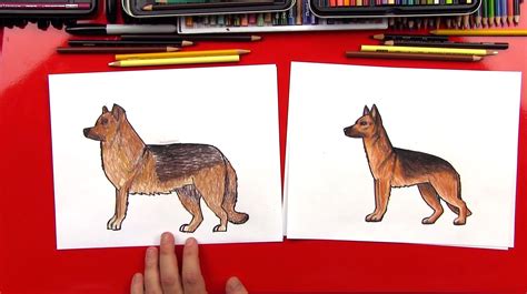 How To Draw A German Shepherd Art For Kids Hub