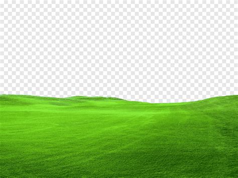 Grass Field Illustration Lawn Graphy Ground Landscape Grass Png