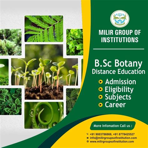 complete details about the b sc botany course