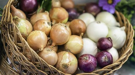 The centers for disease control and prevention late friday evening said the onions are traced to thomson international, inc., based in bakersfield, california. Onions shipped to all 50 states linked to Salmonella ...