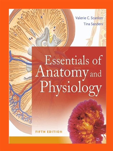 Essentials Of Anatomy And Physiology 5th Edition Pdf Книги