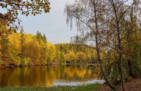 Fondos De Pantalla Alemania Otoño Ríos Bosques Warteberg Saxony árboles