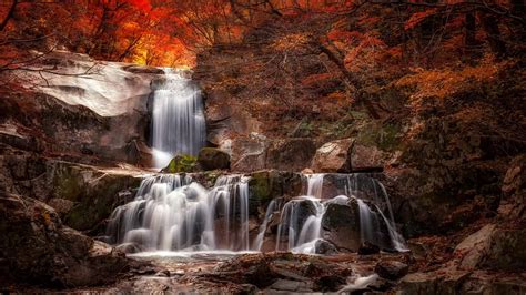 Waterfall Stream On Rocks Between Colorful Autumn Trees Forest