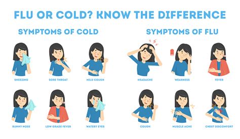 Cold And Flu Symptoms Infographic Stock Illustration Download Image