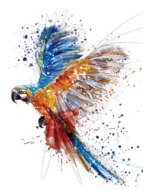 Watercolor Painting Drawing Illustration Hand Colored Parrot Birds