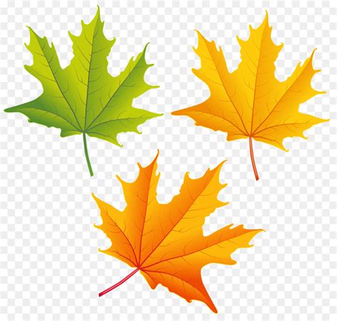 Autumn Leaf Color Clip Art Falling Leaves Transparent Background Png