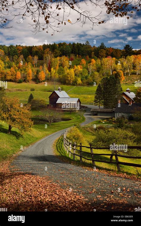Driveway To Sleepy Hollow Farm On Cloudland Road Woodstock Vermont Usa