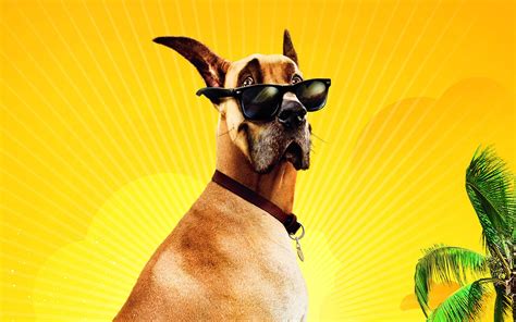 Meet purina one dog food. Movie - Marmaduke - Sunglasses - Dog - Funny - Cute ...