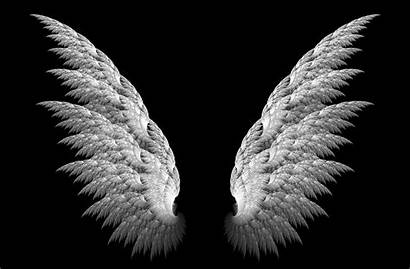 Wings Angel 3d Wallpapers Background Wing Heaven