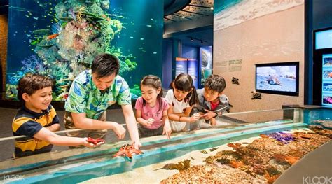 Book Sea Aquarium Sentosa Singapore Ticket Online Klook