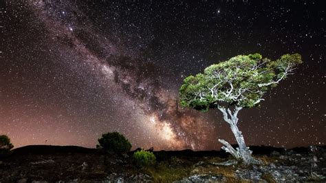 Nature Sky Night Milky Way Stars Landscape Trees Rock Hill