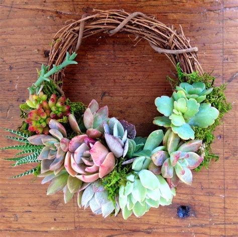 S 6 Succulent Wreath Fairyblooms Ava Wreath By Succulentartworks