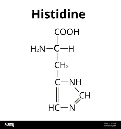 Amino Acid Histidine Chemical Molecular Formula Histidine Amino Acid