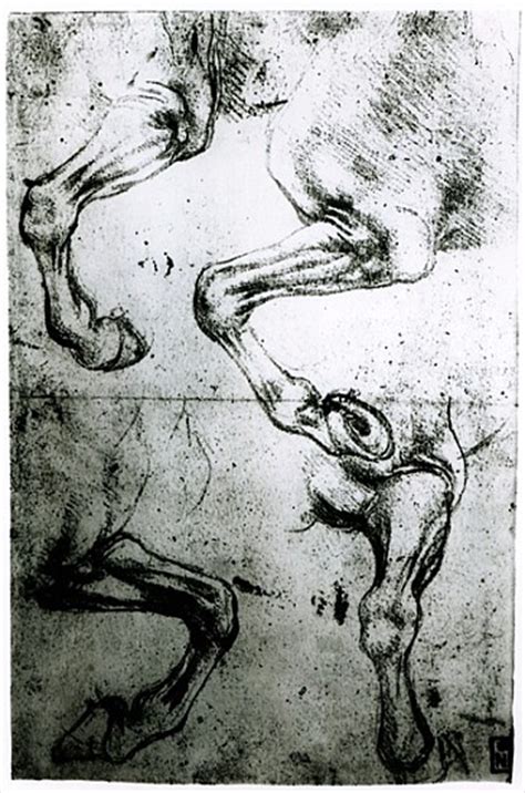 Studies Of Horses Legs Pen And Ink On P Leonardo Da Vinci Als