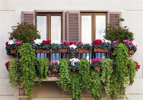 18 Colorful Window Box Gardening Ideas Hometriangle