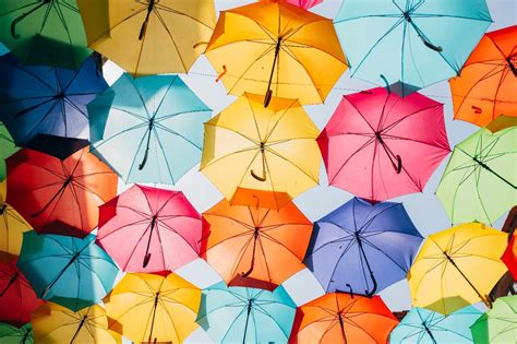 Skylight Creative Blog Three Popular Types Of Umbrellas For April Showers
