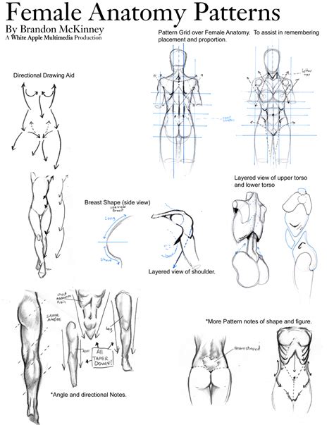 This can effectively educate everyone on the female human body. Female Anatomy Patterns by Snigom on DeviantArt