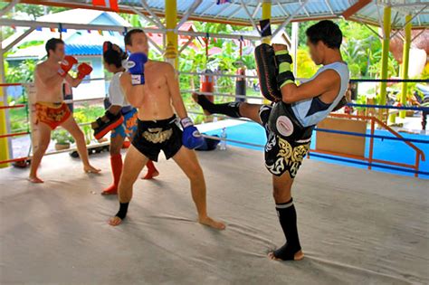 thai boxing training in phuket muay thai camps in phuket go guides