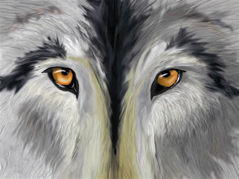 Wolf Eyes By Neovirah On Deviantart