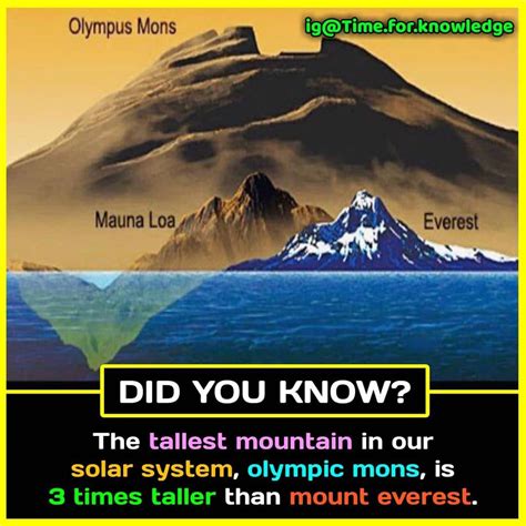 Wierd Facts Intresting Facts Wow Facts Real Facts Wtf Fun Facts