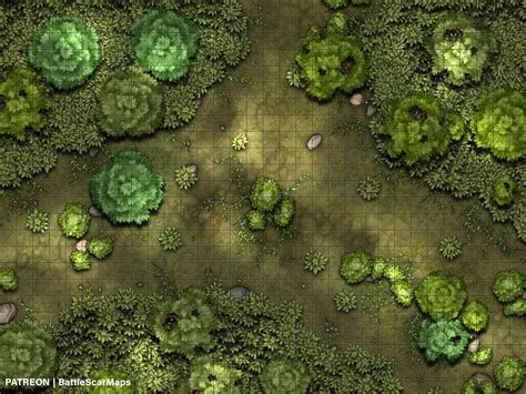 Forest Clearing Battle Map Dnd Battle Map D D Battlemap Dungeons